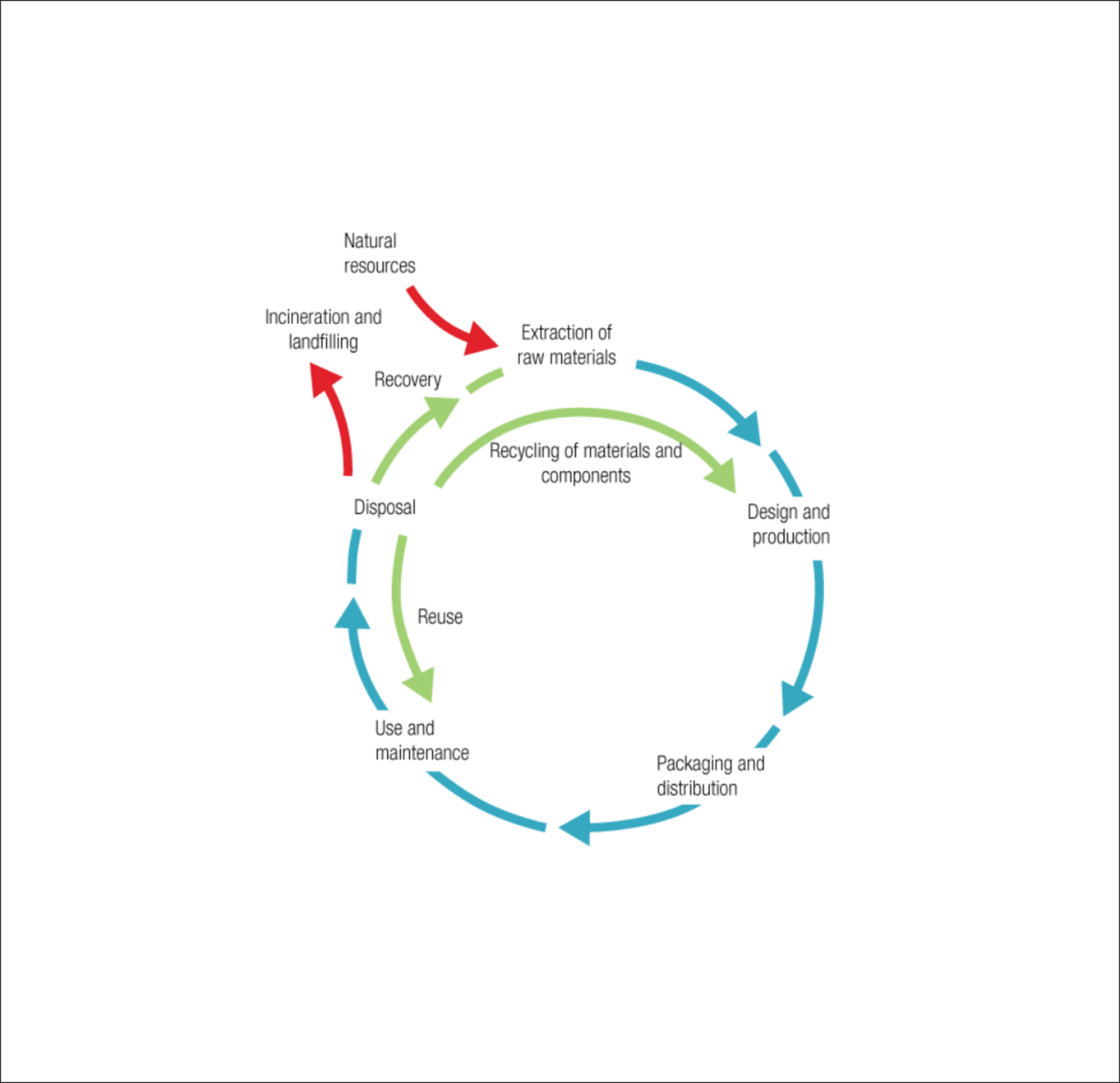 Life Cycle Assessment Studies